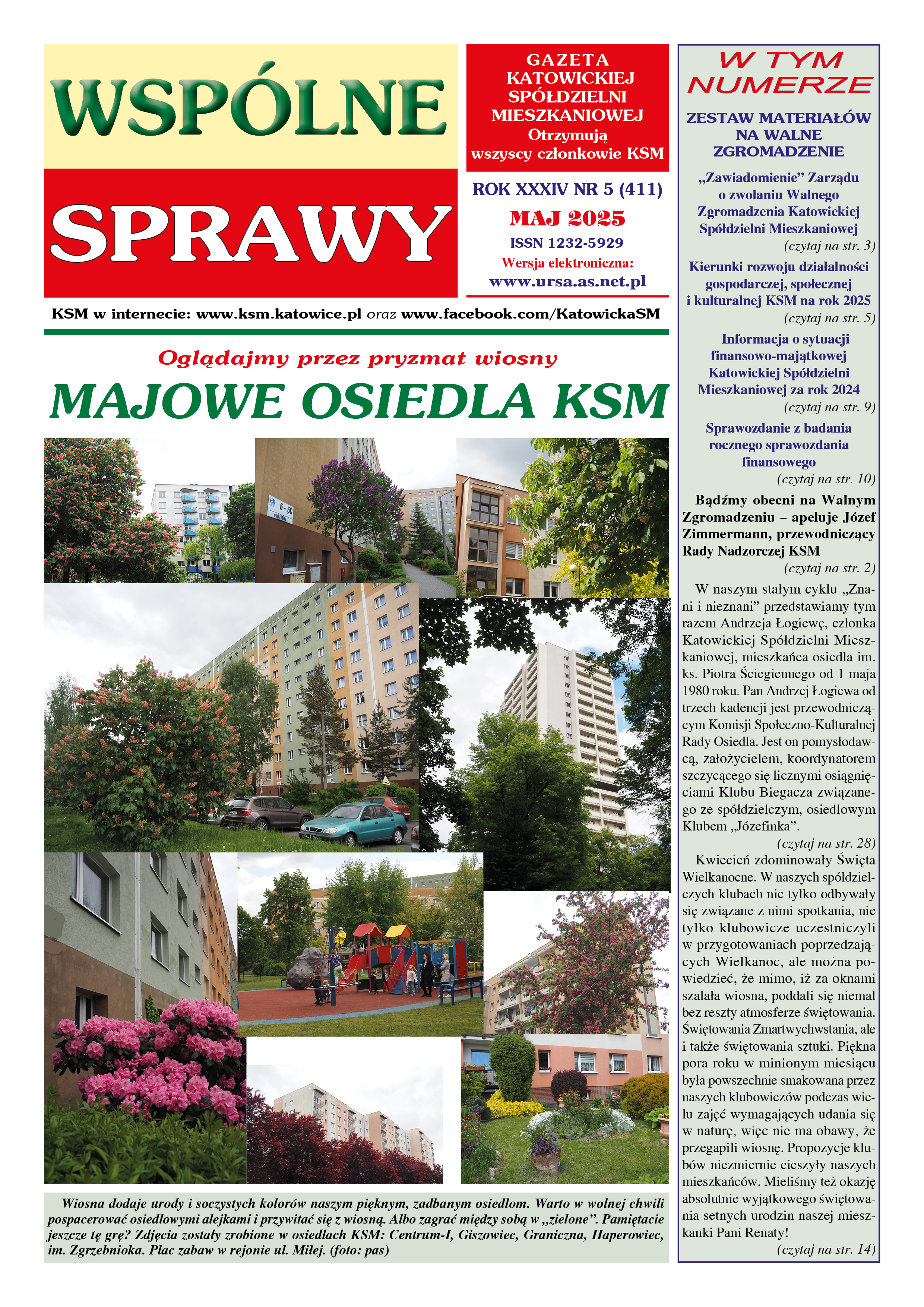 zdjęcie okładki